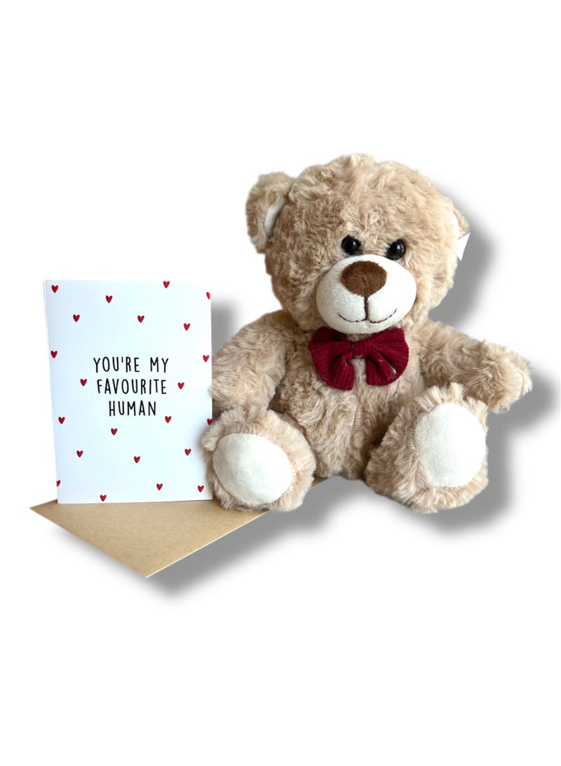Plush Teddy Bear Gift Set, Valentine's Day Romantic Gift Idea for Anniversary, Birthday, Mother's Day, Best Friends, him her Women Men with Card Envelope, I Love You, Surprise Present for Special Celebration - Image 1